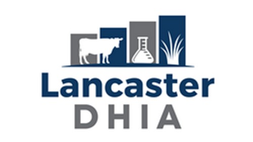 dhia-member-logo